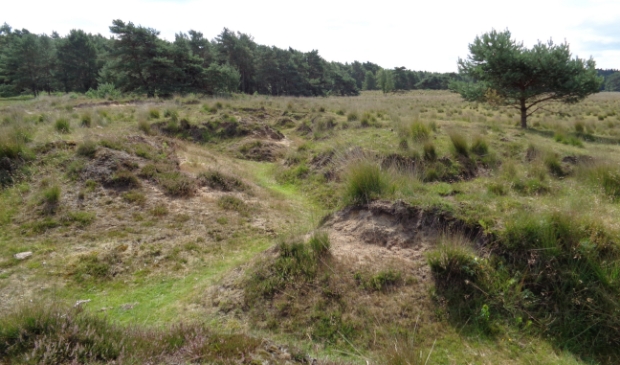 loopgraven Breeveen