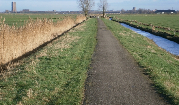 die kom je tegen op je wandeling