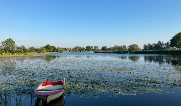 Waterlelies en een strakblauwe lucht vanaf de Holendrechterweg