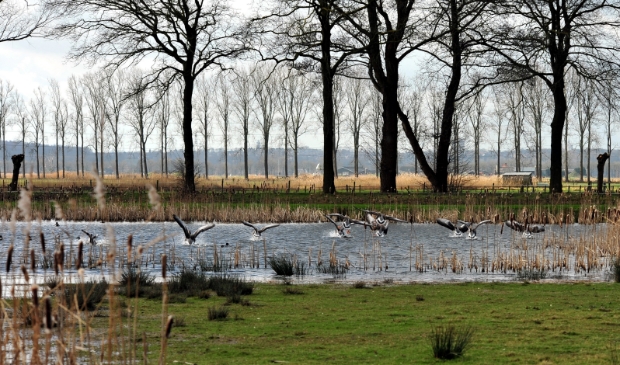 Binnenveld