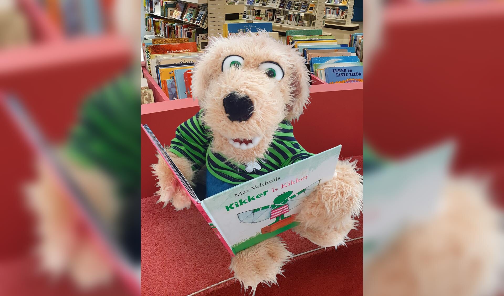 Hondje Biblio heeft het afgelopen jaar vaak online voorgelezen nu gebeurt dat in het echt.  