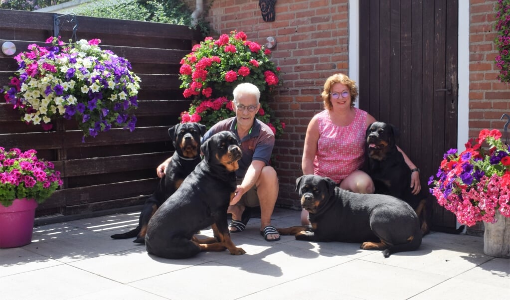 Cor en Jannie Thijssen zien hun vier honden niet als fokproducten, maar als gezinsleden,