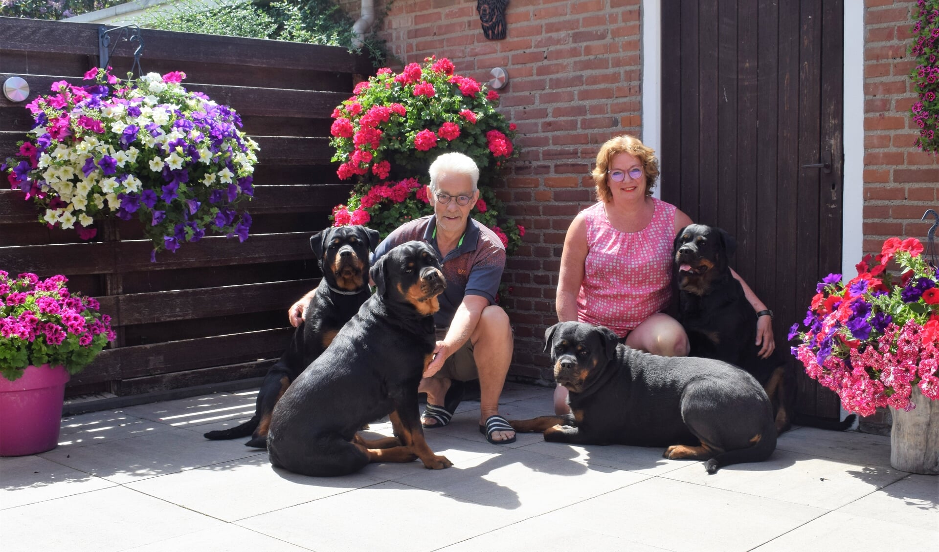 Cor en Jannie Thijssen zien hun vier honden niet als fokproducten, maar als gezinsleden,