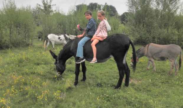 ezeltje rijden op kinderspeelmiddag