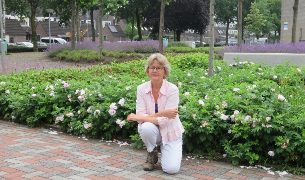 <p>Margot leest voor en geeft taalles. Zo helpt ze kinderen en volwassenen met de Nederlandse taal.</p>
