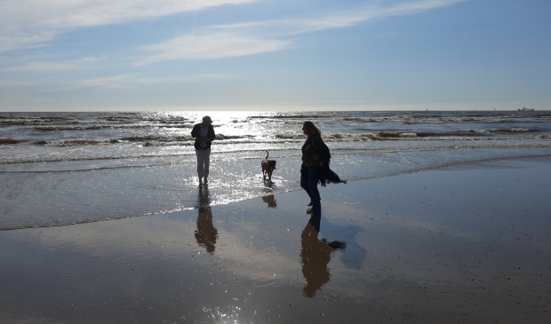 <p>Lekker wandelen met de hond op het strand kan vanaf vandaag weer overdag.</p>