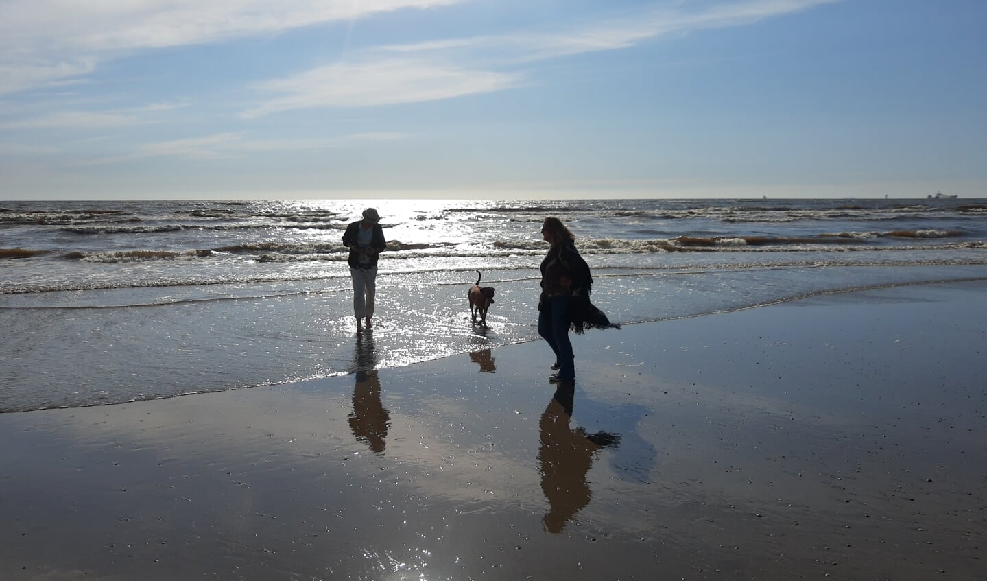 Lekker wandelen met de hond op het strand kan vanaf vandaag weer overdag.