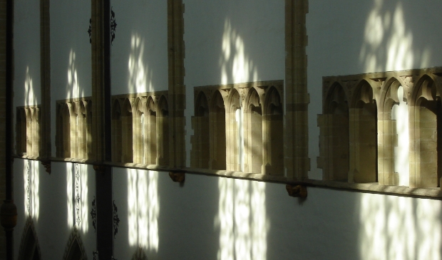 Avondlicht in de Bavo