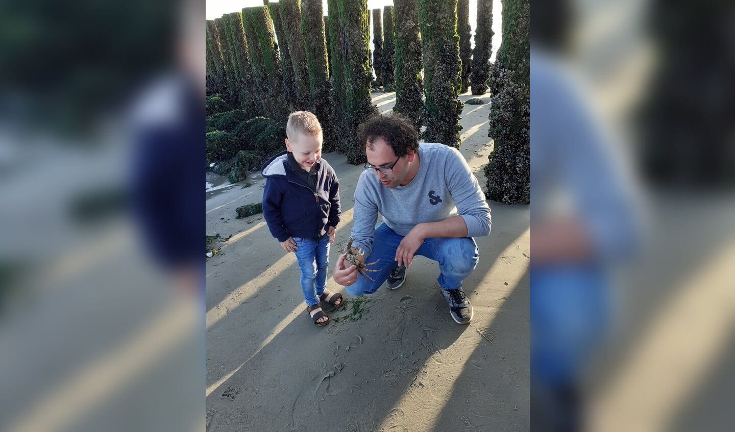 Op het strand van Zoutelande bewonderen oom Willem en neefje Bram samen een krab. 