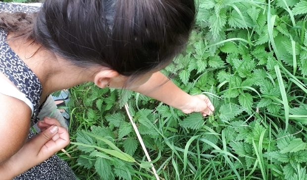 <p>Spelen in de natuur is leuk en gezond, zegt Groen doet goed.</p>