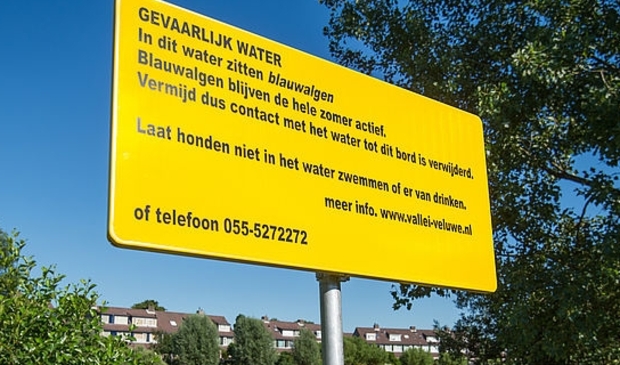 <p>Archieffoto ter illustratie.</p>