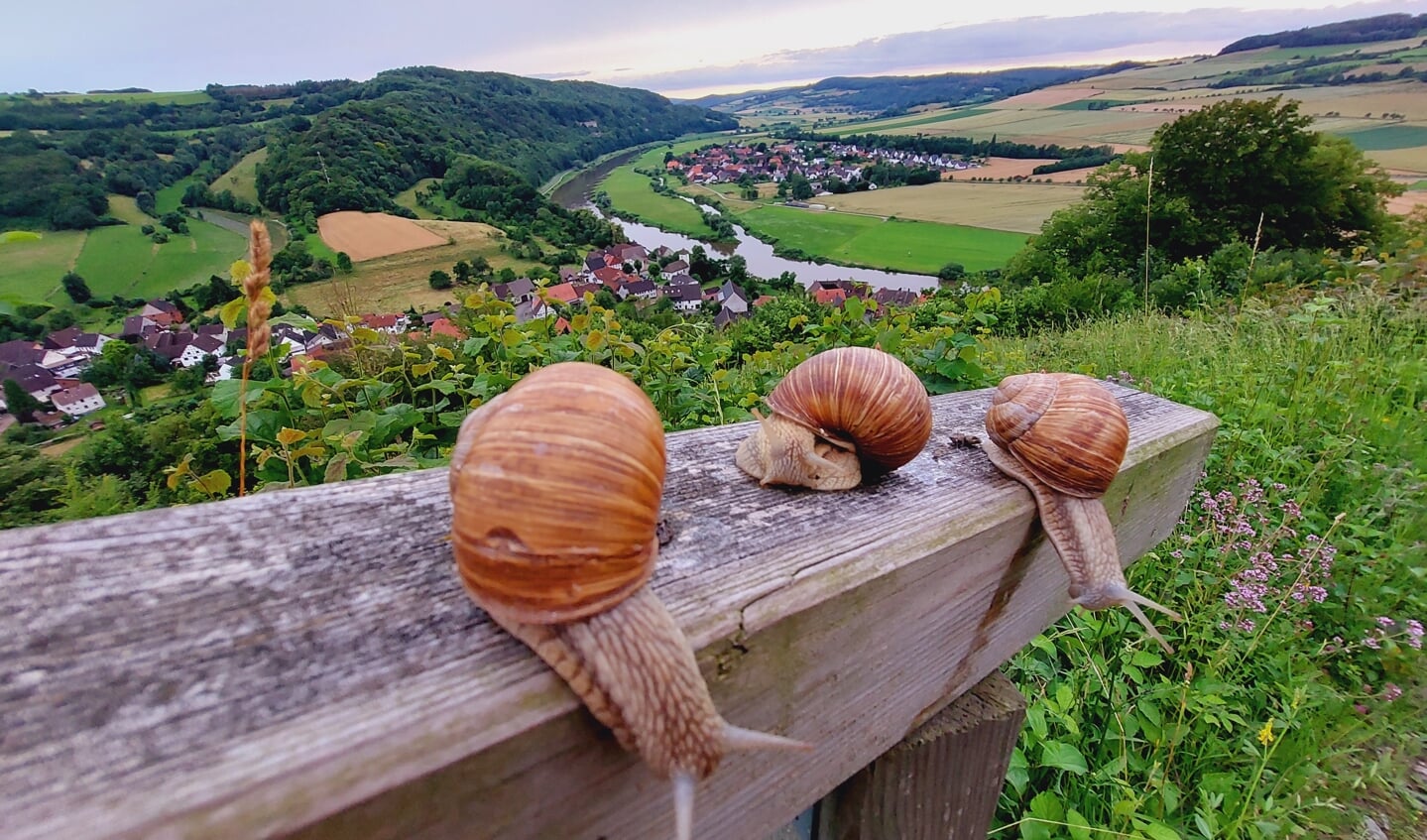 'Heerlijk op een slakkengangetje genieten van vakantie in het Weserbergland in Duitsland!'