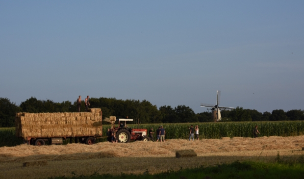 rogge oogst Eng