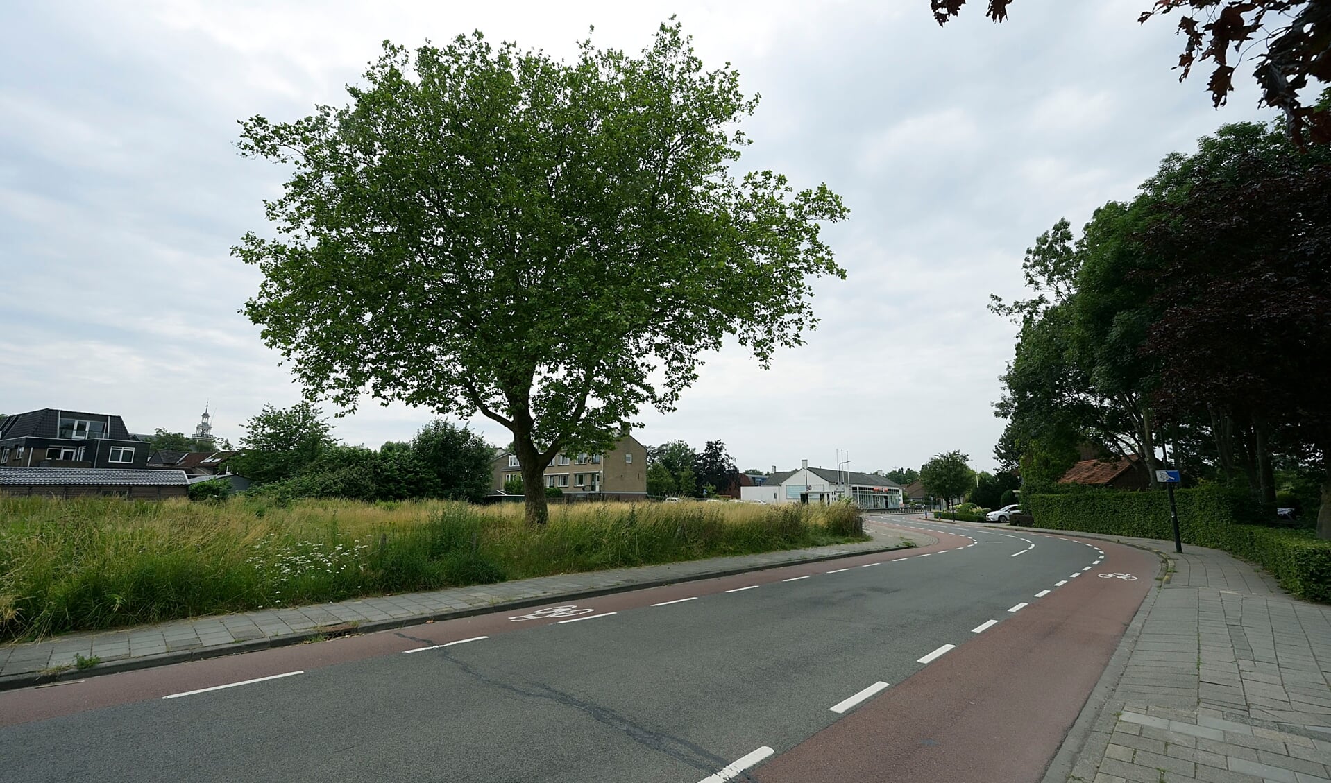 Plataan Stationstraat