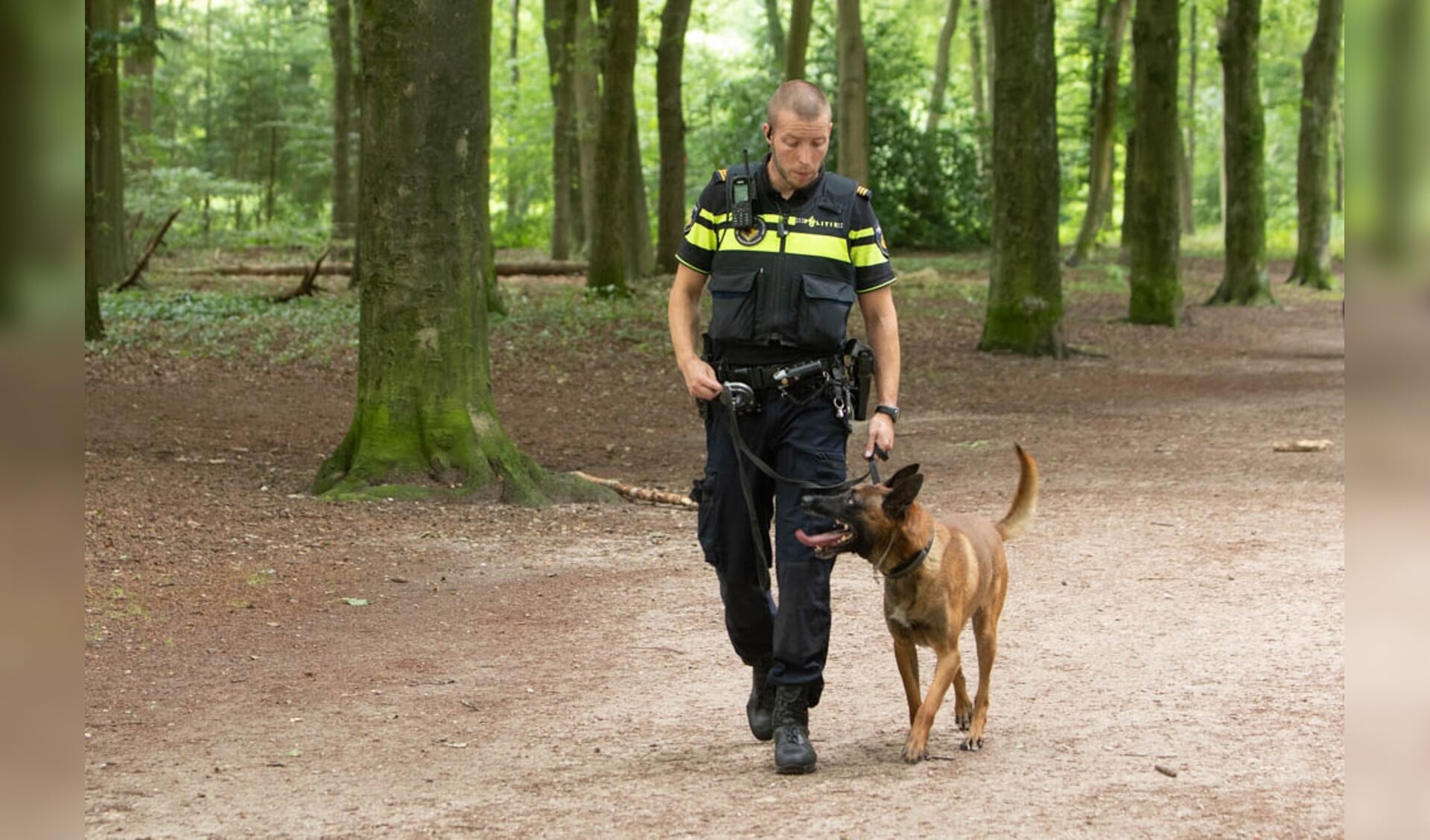 Politiehond Kelvin speelde zaterdagmiddag een belangrijke rol bij het opsporen van de straatrovers.