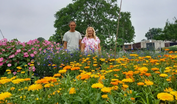 Ton en Jolanda Duizer hebben hun handen vol aan hun pluktuin aan de Griendweg in Gorinchem.