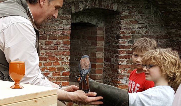 <p>De valkenier brengt op een onvergetelijke wijze jeugd veilig in contact met het leven van de roofvogels. </p>