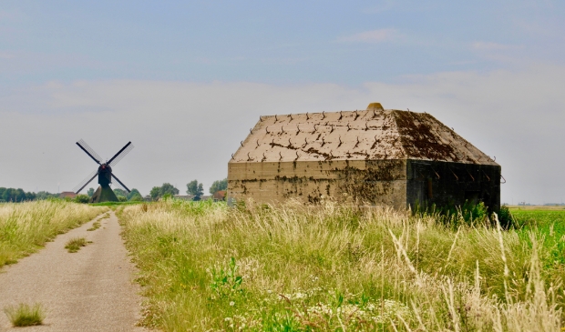 Ed23 langs het wandelpad tussen De Roef en de Uppelse Steeg.