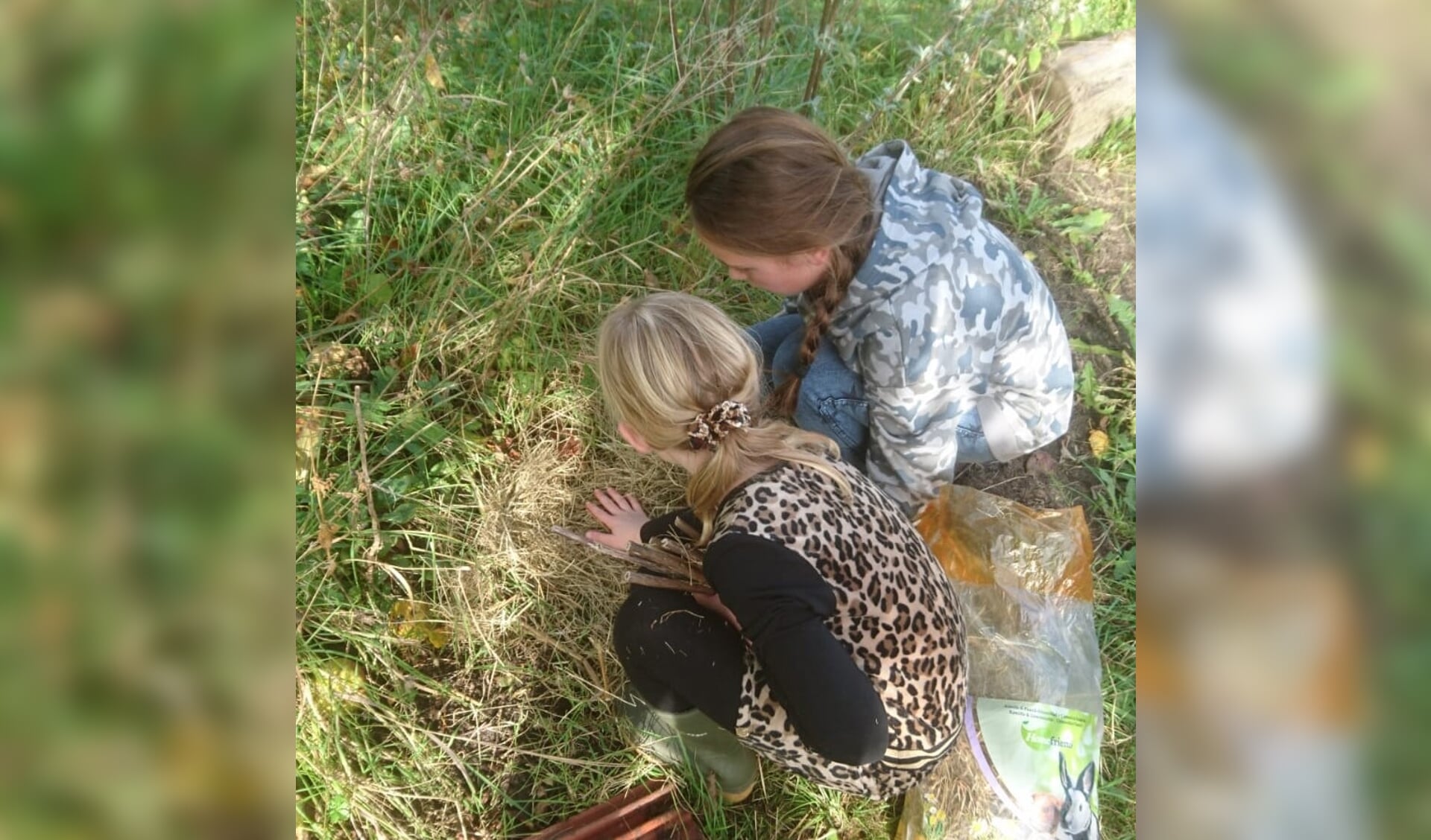 Kinderen zorgen voor de dieren in de kriebelbeestjestuin