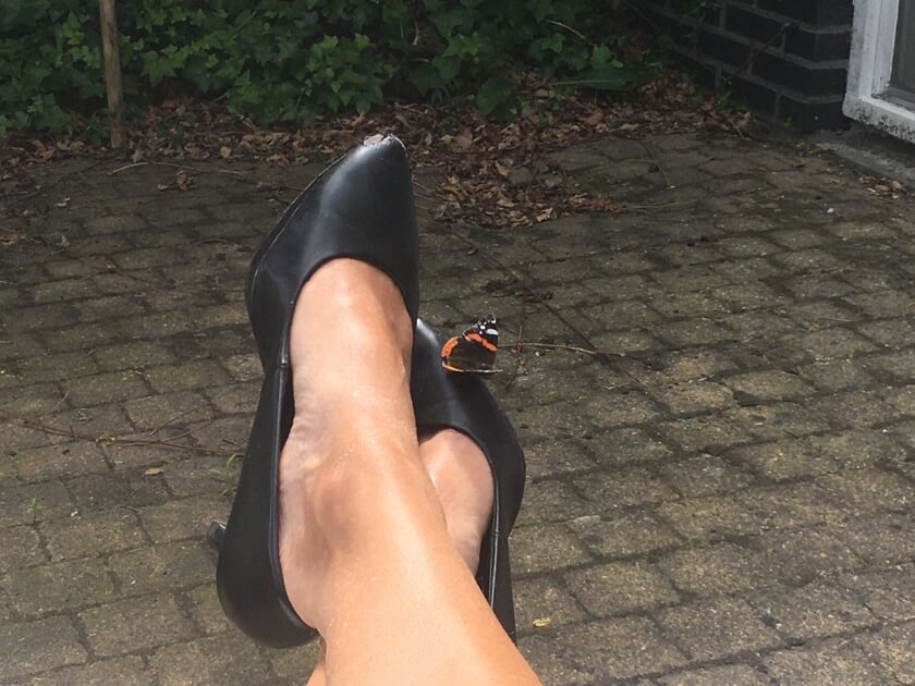 ,,Deze foto is gemaakt in de eigen tuin op 25 juli. Ik zit in de tuin en er is een vlinder op mijn schoen geland.