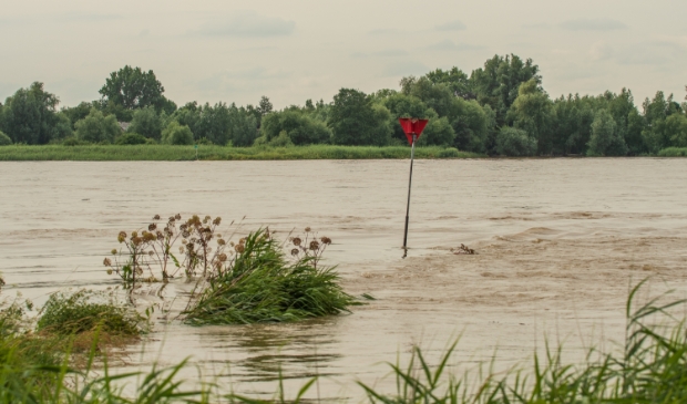 <p>hoogwater. </p>