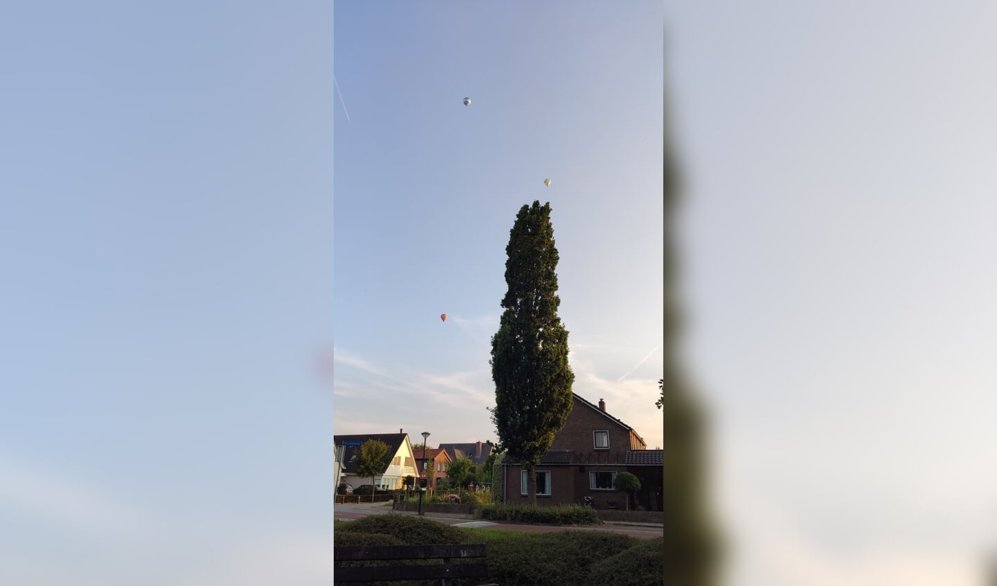 Luchtballonnen in de avondzon