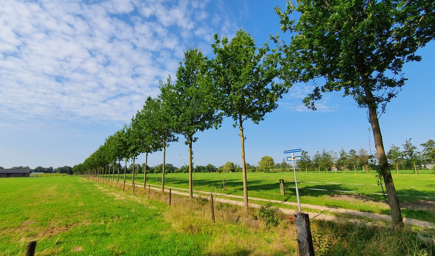 'Hierbij mijn zomerfoto, gemaakt op 4 augustus 2021: de mooiste luchten vind je toch in Nederland!'