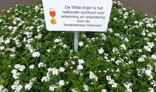 Het perkje