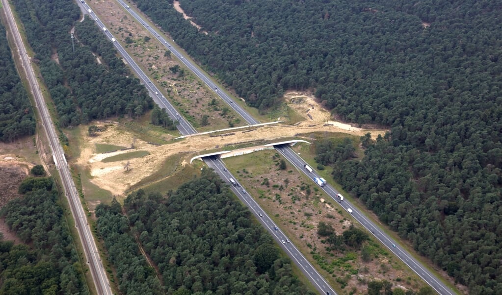 Het ecoduct over snelweg A1, globaal tussen Stroe en Kootwijk. Hier liggen beide snelwegdelen een stuk uit elkaar.