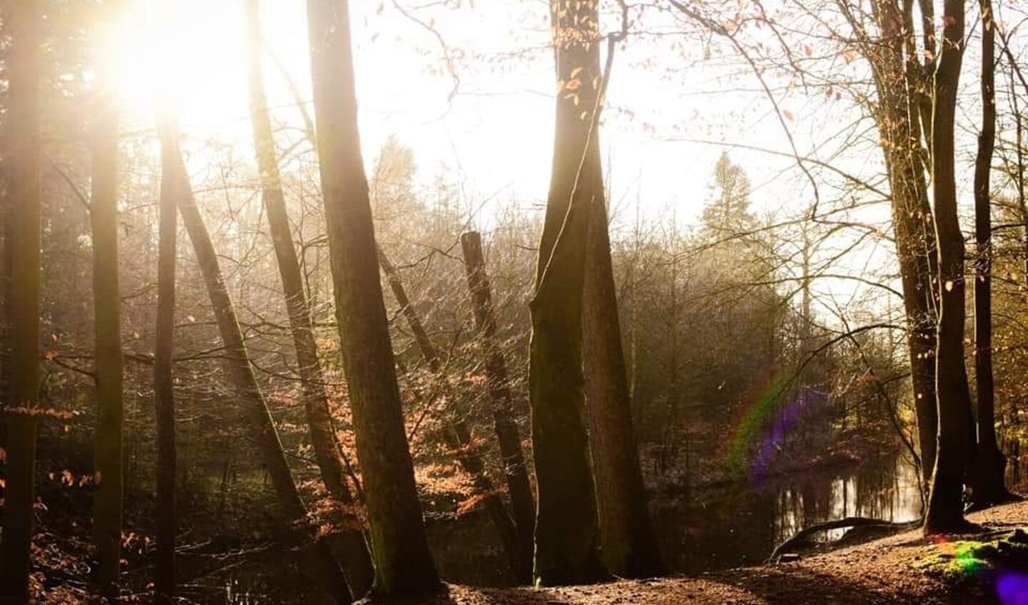 De foto is gemaakt in het Lockhorsterbos in Leusden. Er is water en bomen en een kleine mini-regenboog is er te zien op de foto. Gemaakt op 2 juni 2021 in de ochtend.