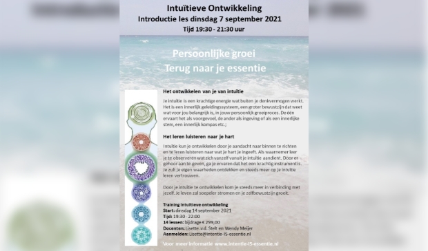 Intuïtieve ontwikkeling