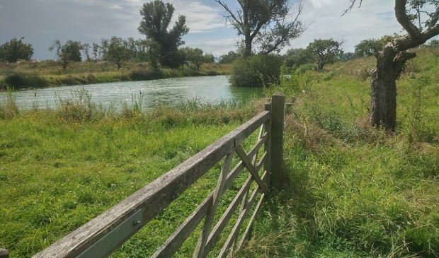 <p>Werk aan de Groeneweg</p>