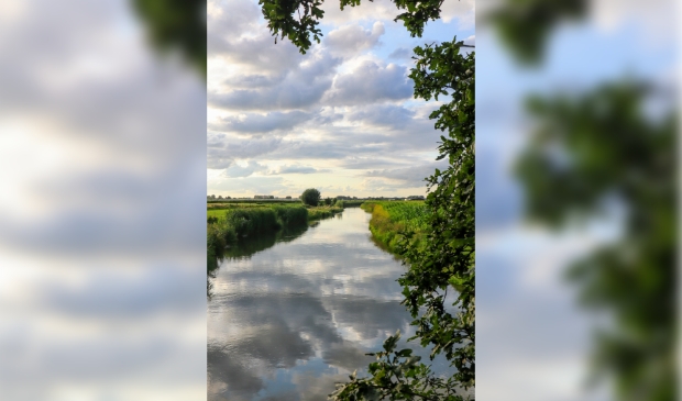 <p>De Kromme Rijn nabij Kasteel Beverweerd </p>