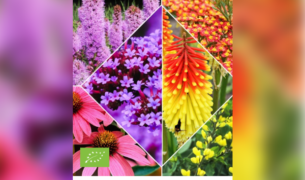 Planten