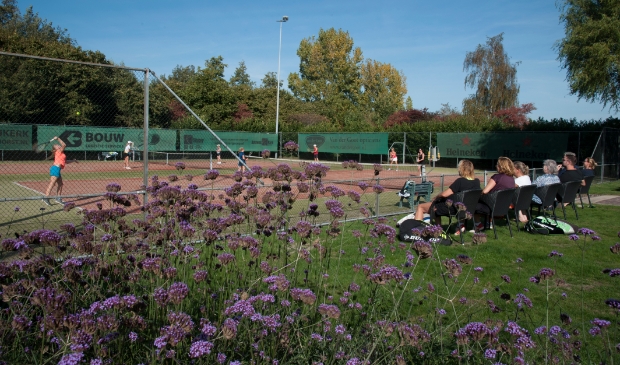 <p>Competitietennis bij TV Sparta op het fraaie sportpark Watergoor.</p>