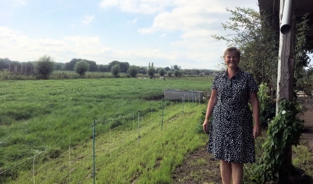 <p>Anne Brommersma geïnterviewd op Nieuw Bureveld. </p>