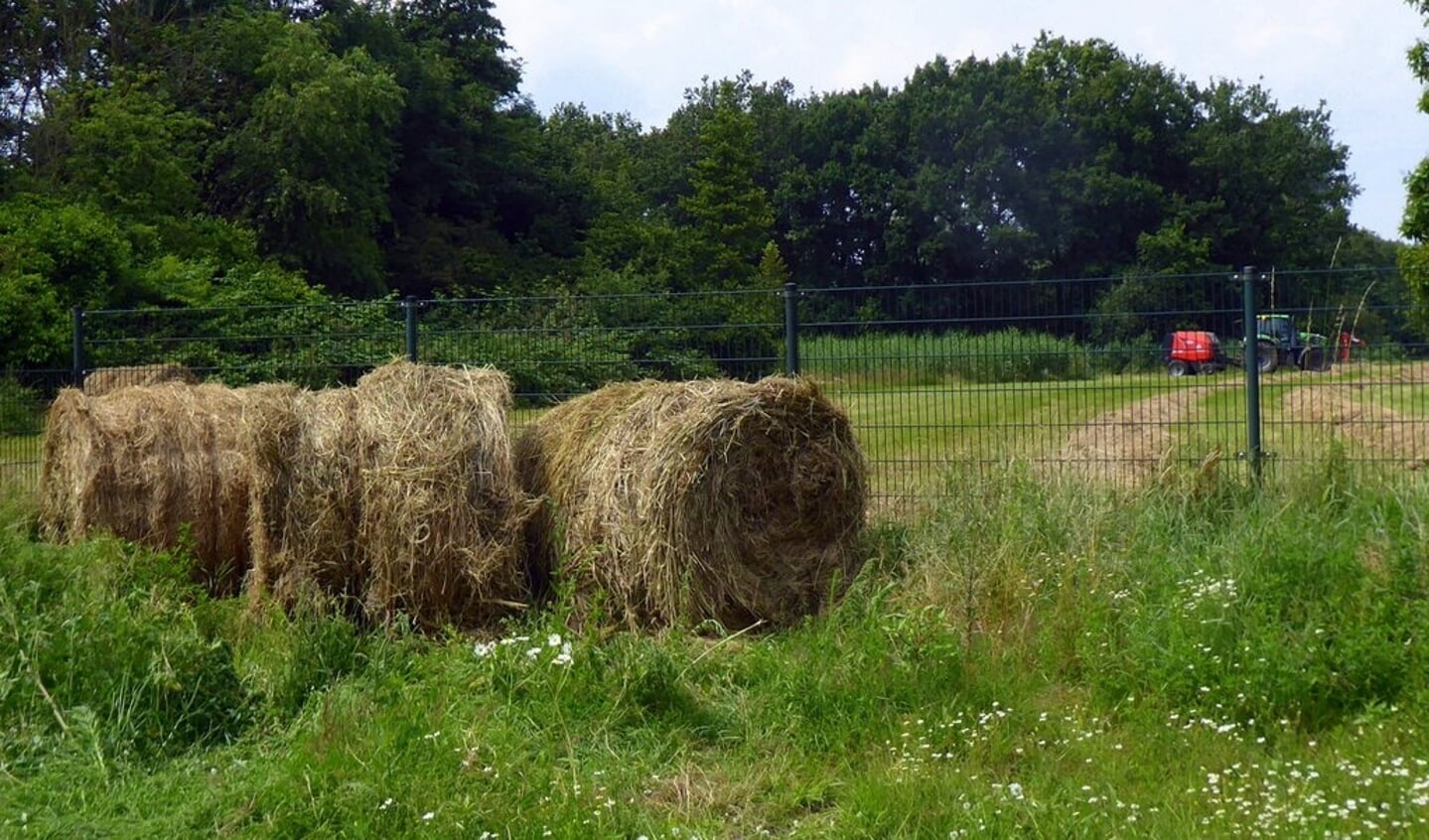 Het oogsten van ronde hooibalen in het stiltegebied achter de
Jachtlaan in Driebergen op 10 juli 2021.