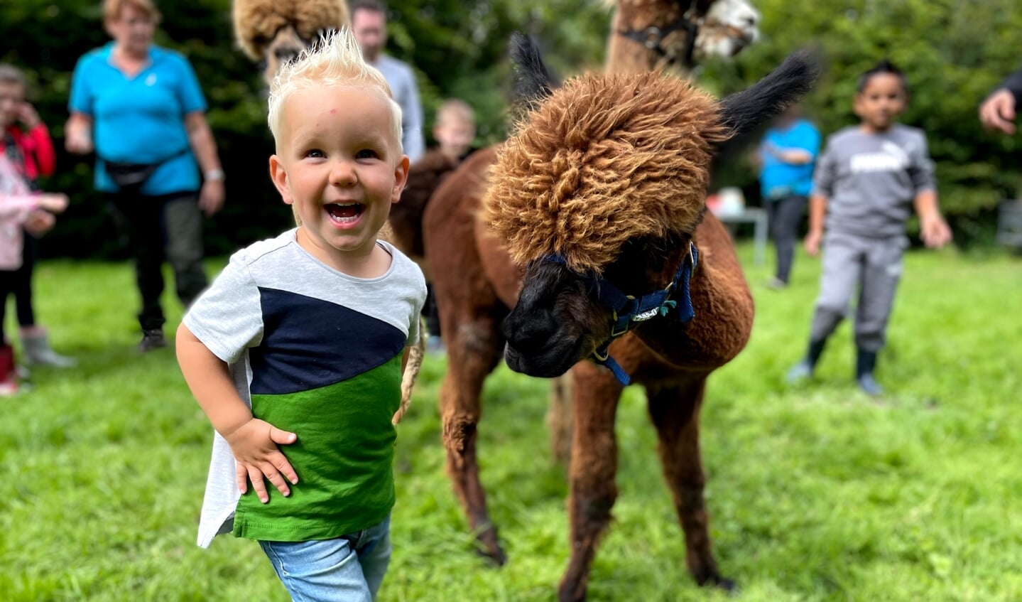 ,,Op de foto staat onze zoon Aron (2) met een alpaca'', mailt Germa Geluk. ,,Aron vond het spannend, maar ook geweldig leuk! De foto is in augustus gemaakt tijdens onze vakantie in Oostkapelle.''