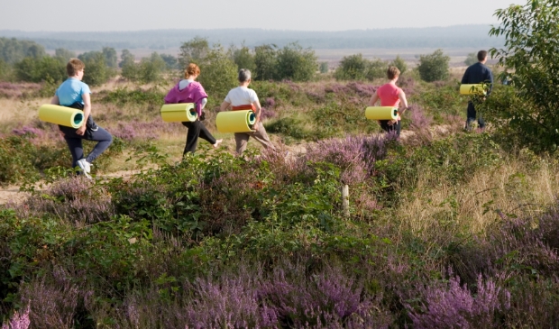 Yogales op de hei