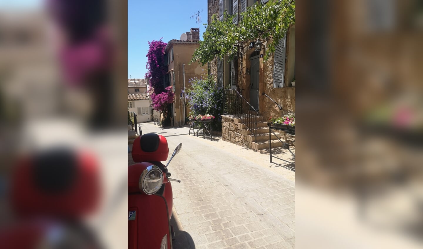 ,,Deze foto is 13 juli genomen door mij in Saint Tropez, vond de rode scooter zo mooi in contrast met de kleuren van de bloemen.