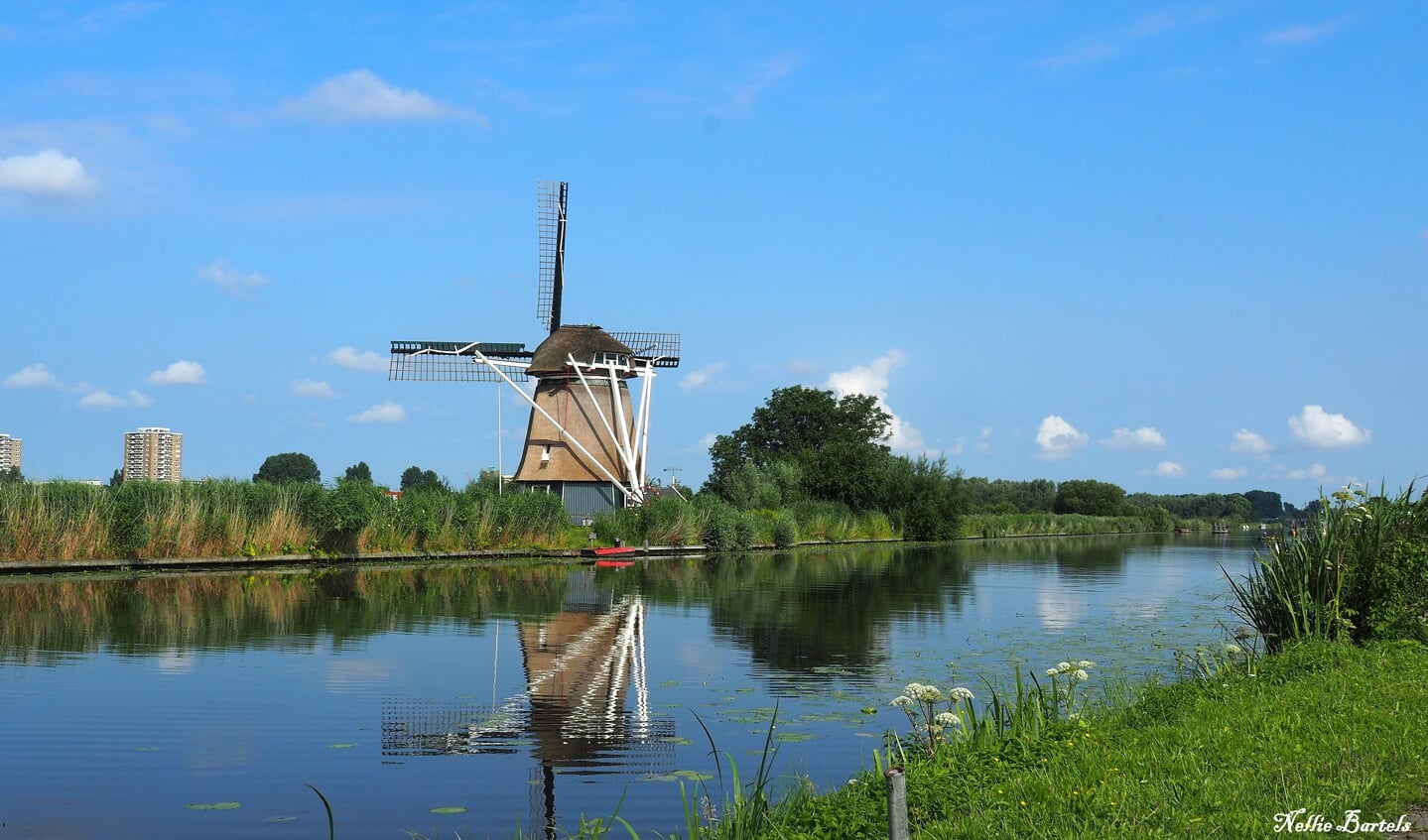 De molen bij Vijfhuizen zorgt voor een typisch Hollands plaatje. 