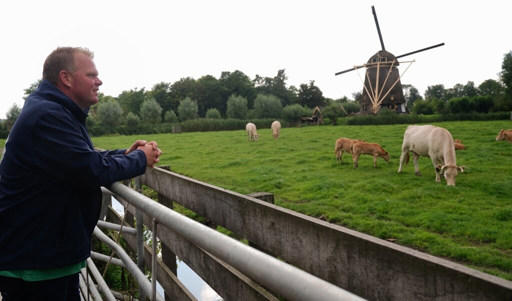Eric Kouwenhoven bij het Ouderkerks blond: de runderen van Gijs Nooij. 