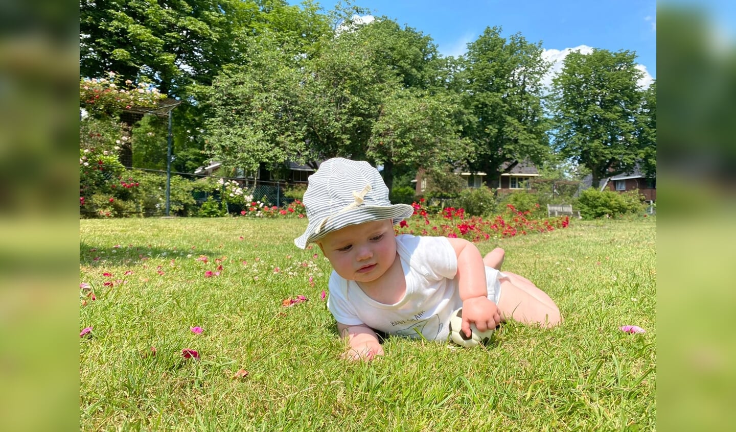 ,,Onze kleinzoon kruipt in het Rosarium in Driebergen op z'n gemak over het gras.