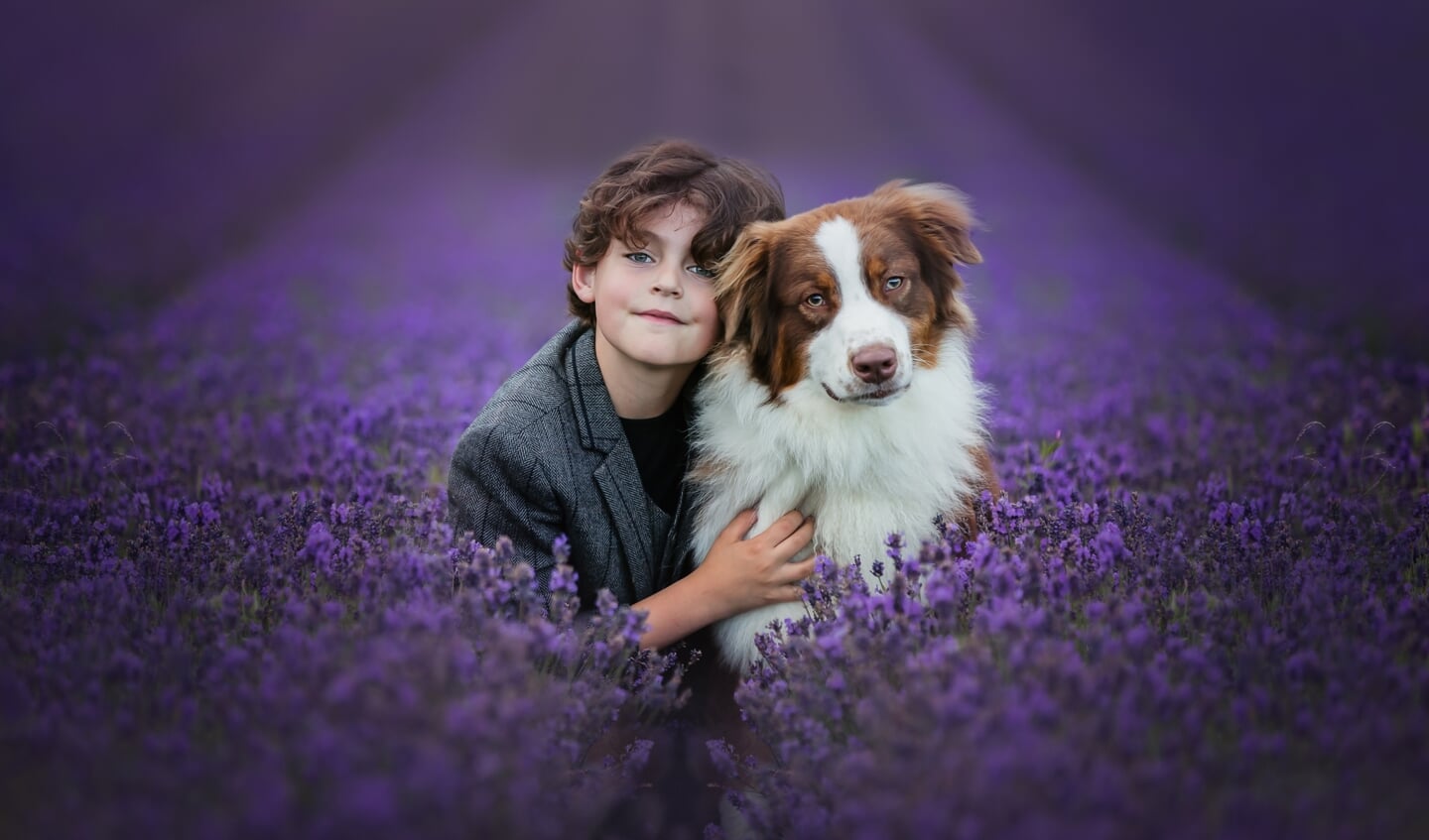 Max te zien in het lavendelveld bij Lady
Lavendel, in Noordwijk, samen met zijn hond, een
Australian Shepherd, Bumper. Het lijkt wel de Provence.