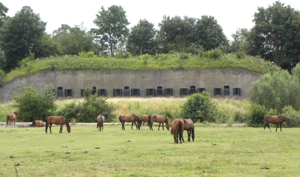 Fort bij 't Hemeltje