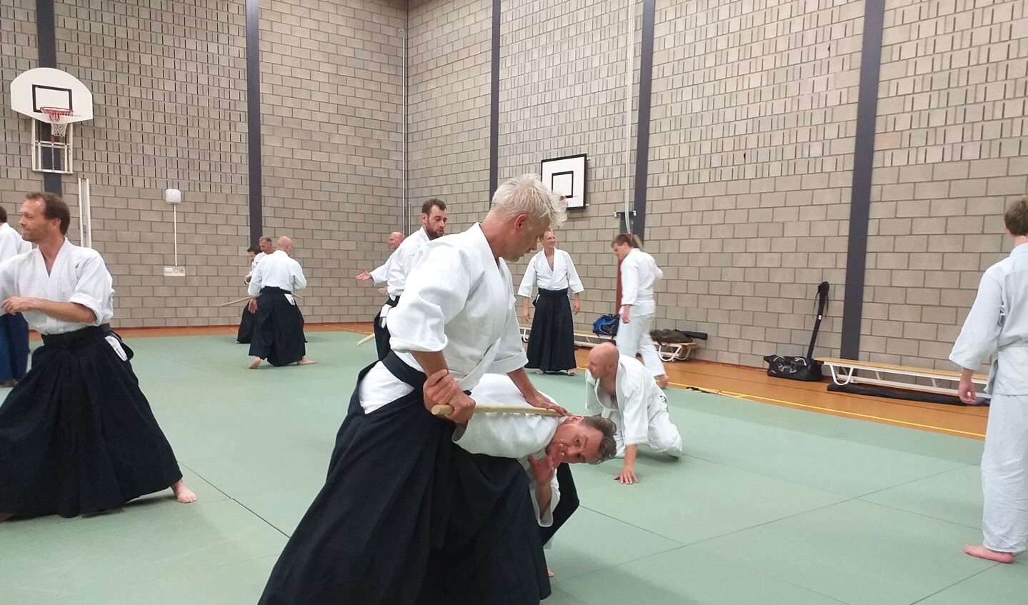Aikido gaat om het oplossen van een conflict.