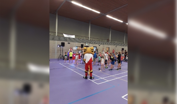 Warming-up van 2019