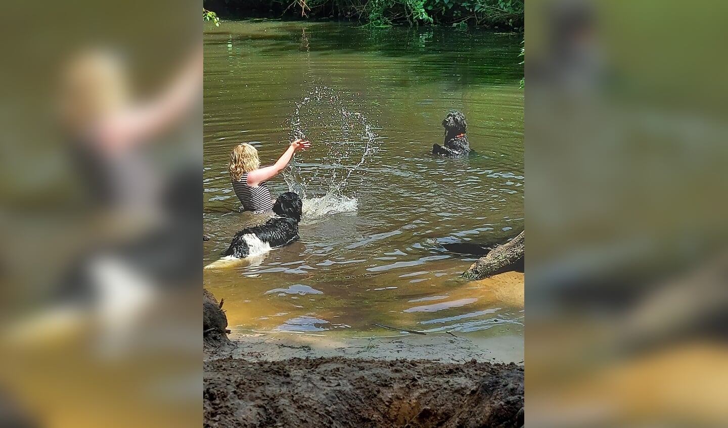 Mijn (autistische en verstandelijk beperkte) dochter Mila in het Lockhorsterbos. Het was een warme, prachtige dag en tijdens het uitlaten van onze eigen hond mocht zij het in het water spelen. Mila is gek op dieren.
Deze hond (niet onze hond) vond het prachtig om te spelen met Mila. Ze zijn een hele lange tijd samen in het water geweest en ik heb onder meer deze mooie foto gemaakt. 
