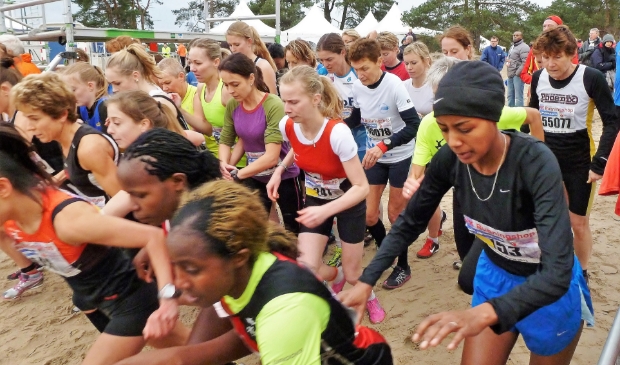 <p>Sylvestercross 2012, met rechts Sifan Hassan.</p>