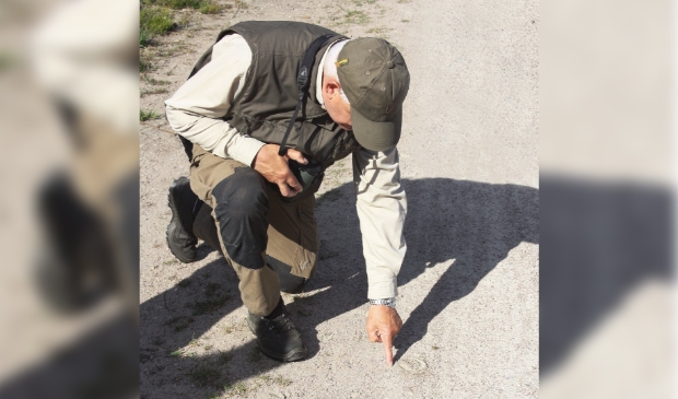 Donderdag 26 augustus, ochtendwandeling door natuurgebied Het Eperholt